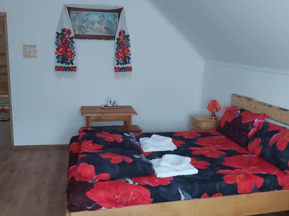 Pensiunea Schilacy Grosii Tiblesului Exteriér fotografie