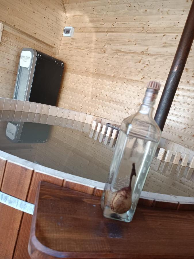 Pensiunea Schilacy Grosii Tiblesului Exteriér fotografie