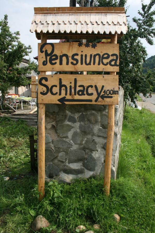 Pensiunea Schilacy Grosii Tiblesului Exteriér fotografie
